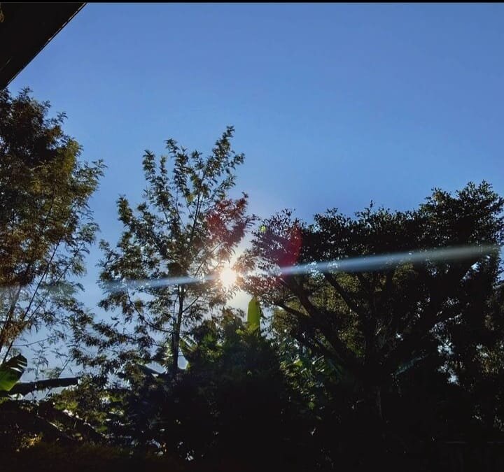Sun Beems
