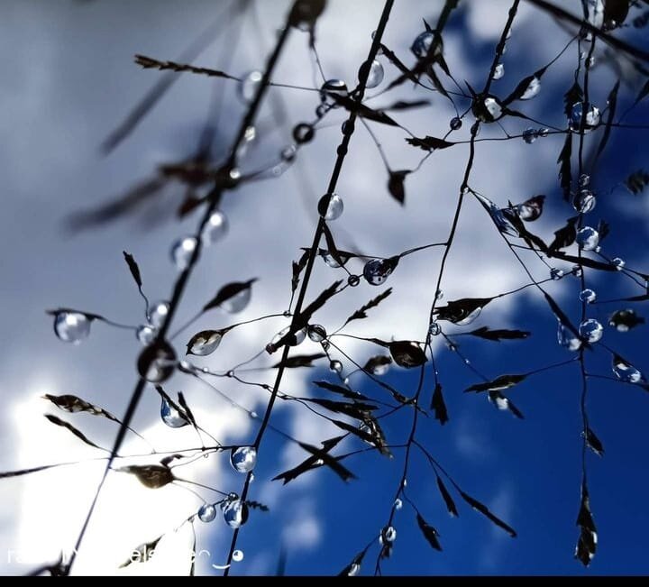 Crystal Water Droplets